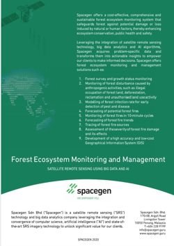 Forest Ecosystem